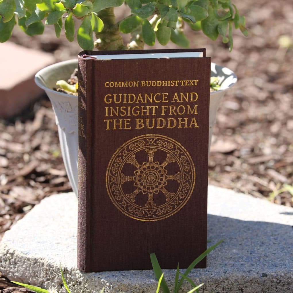 Ảnh bìa COMMON BUDDHIST TEXT: Guidance And Insight From The Buddha (Ấn tống)