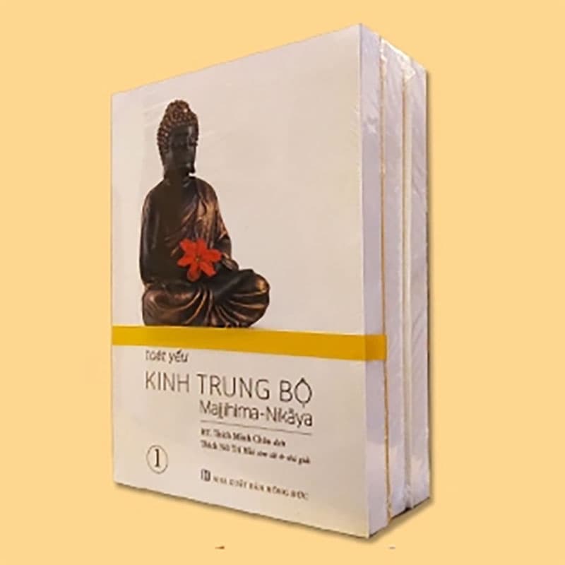 Ảnh bìa TOÁT YẾU KINH TRUNG BỘ (Trọn bộ 3 tập)